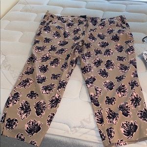Lane bryant dress pants size 28